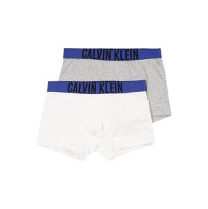Calvin Klein Underwear Alsónadrág  kék / szürke / fekete / fehér