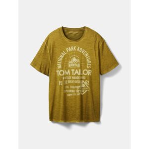 TOM TAILOR Men + Póló  bézs / olíva