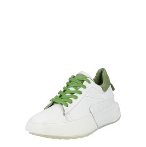 A.S.98 Rövid szárú sportcipők 'HIFI'  zöld / fehér