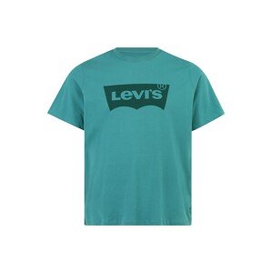 Levi's® Big & Tall Póló  jáde / fenyő